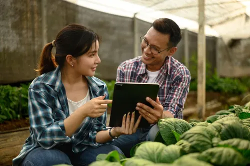 Contratação de transporte escolar pode chegar a R$ 5 milhões