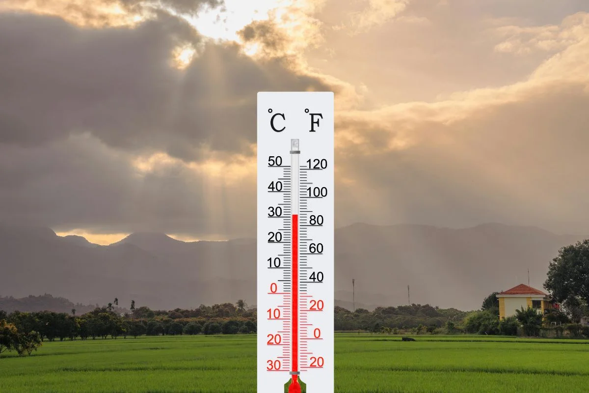 Calor já tem data para voltar a Papanduva