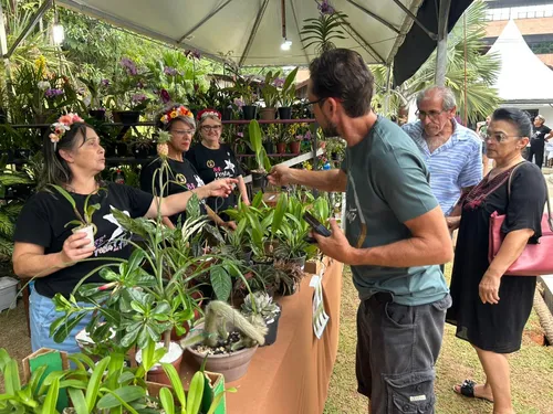 Festival das Flores de Outono terá exposição de orquídeas e oficinas gratuitas em Joinville