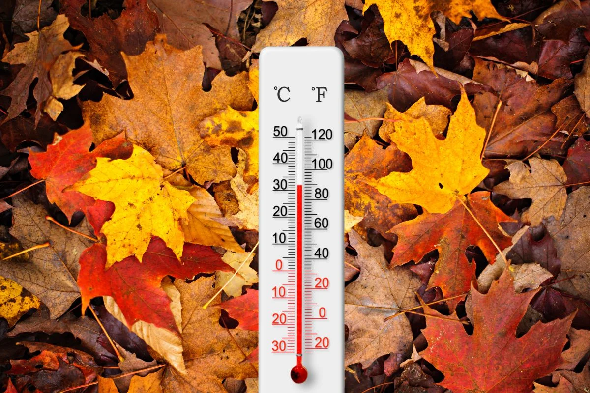 Outono começa com calor em Papanduva