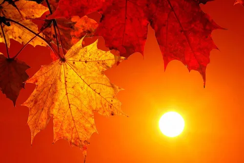 Papanduva mais uma vez acima dos 30ºC