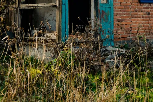 Papanduva institui novas regras para limpeza de terrenos