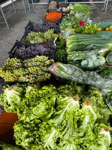 Programa Câmbio Verde divulga calendário de junho em São Bento do Sul
