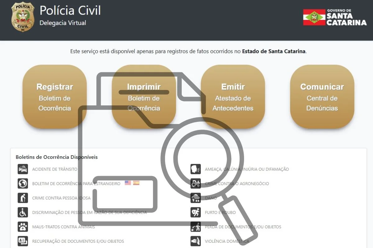 Em que casos usar a Delegacia Virtual?