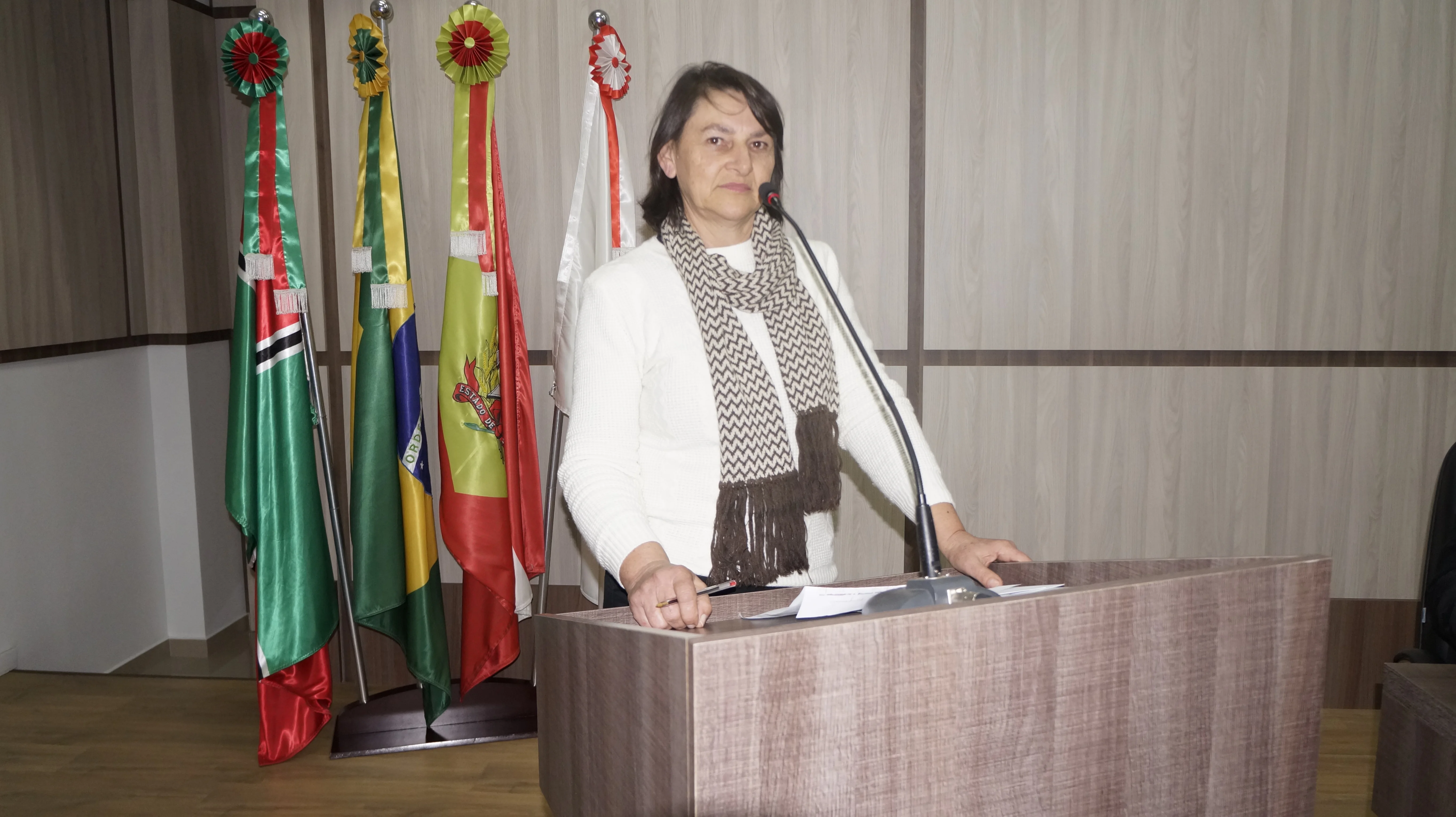 Secretária de Educação de Papanduva presta esclarecimentos na Câmara de Vereadores