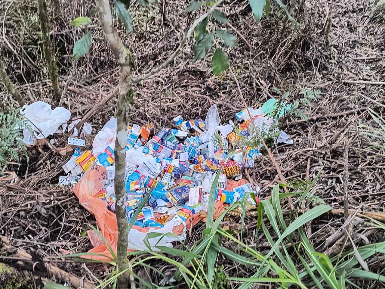 Vigilância Sanitária alerta para riscos após descarte irregular de medicamentos em terreno de São Bento do Sul