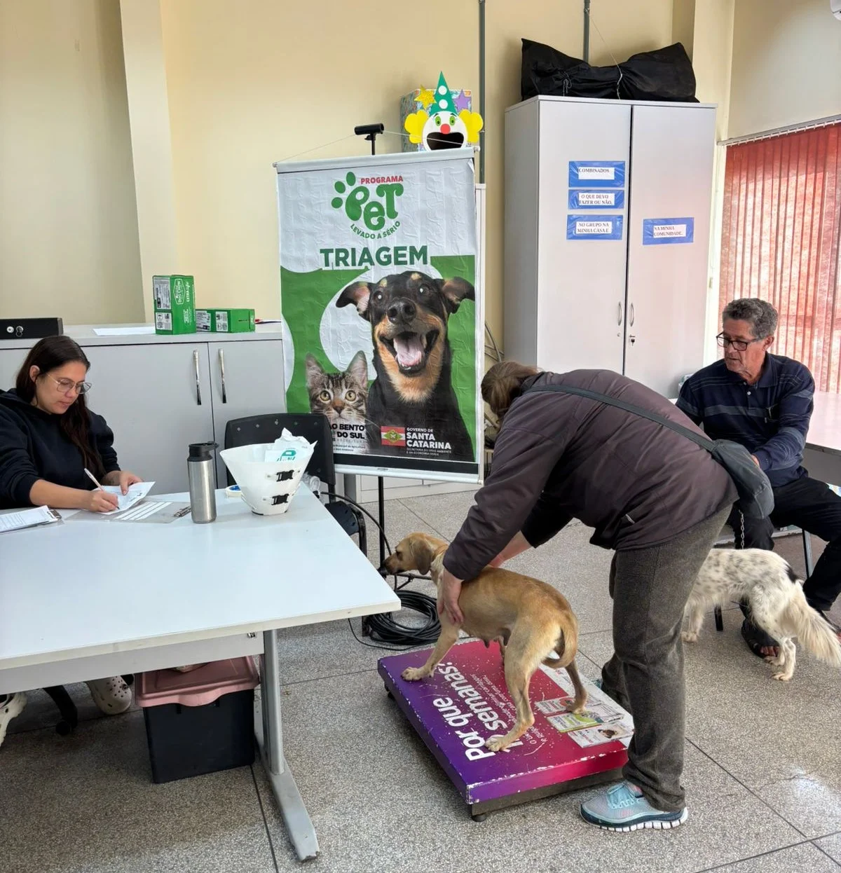 Programa Pet Levado a Sério ainda tem 50 vagas abertas para castrações em São Bento do Sul