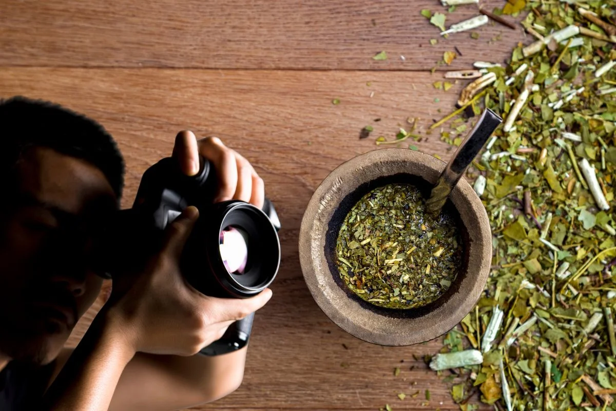 Erva-mate vira tema de concurso fotográfico