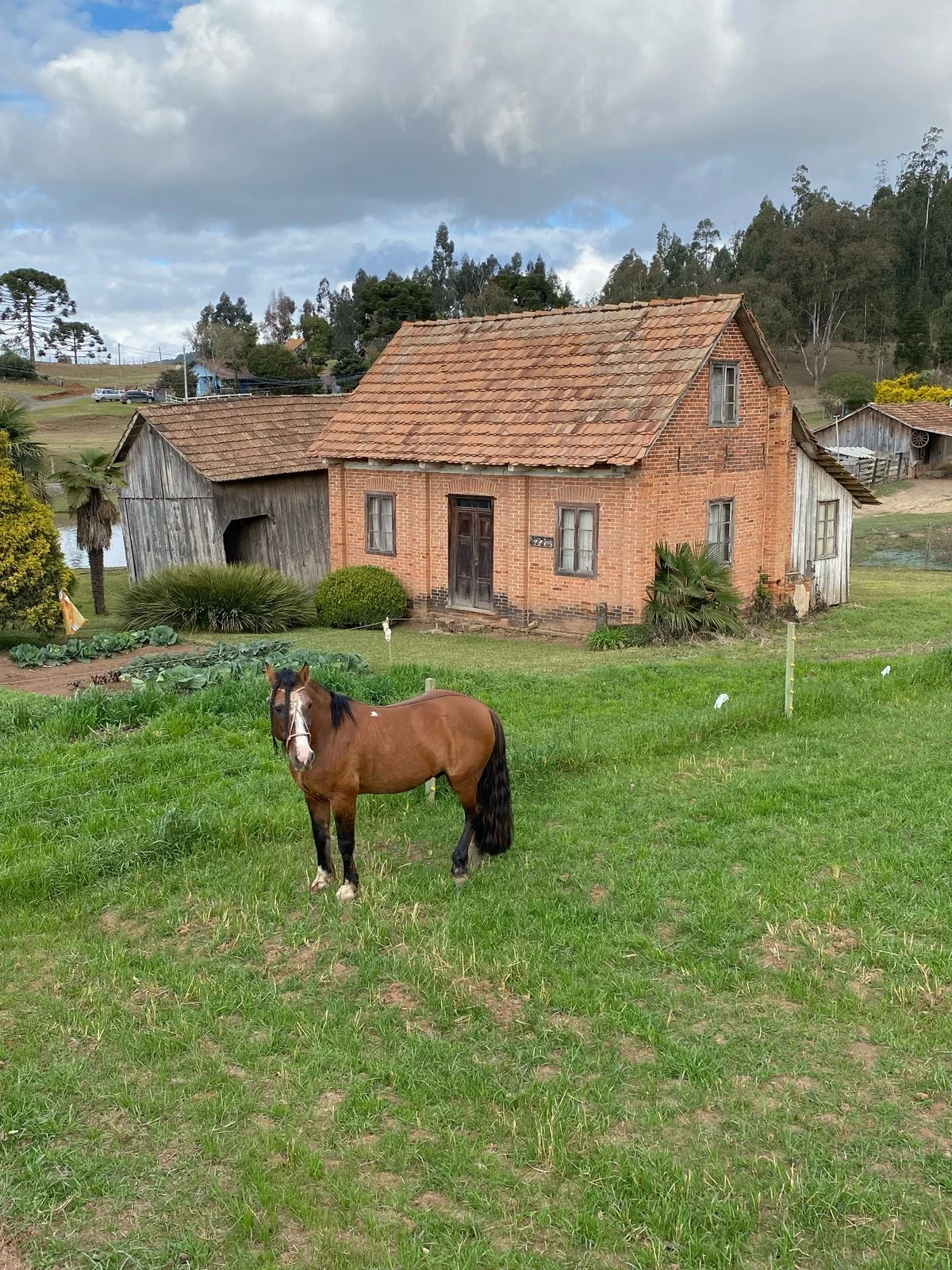 Rota do Patrimônio abre inscrições para caminhada histórica na Estrada Dona Francisca