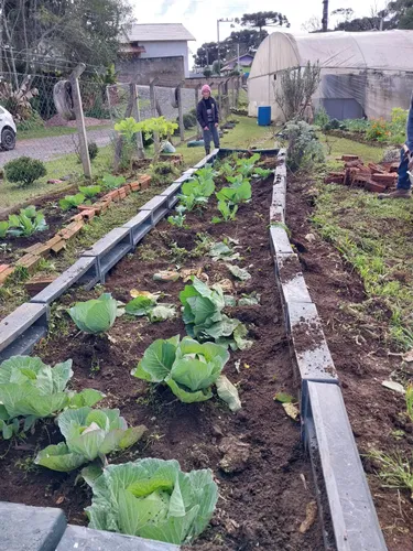 SAMAE utiliza meios-fios reciclados em hortas comunitárias de São Bento do Sul