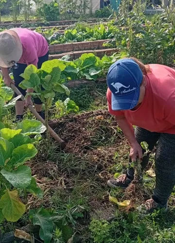 Prefeitura promove "Férias na Horta Comunitária" com programação gratuita para toda a família
