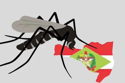 Papanduva continua com infestação do mosquito da dengue