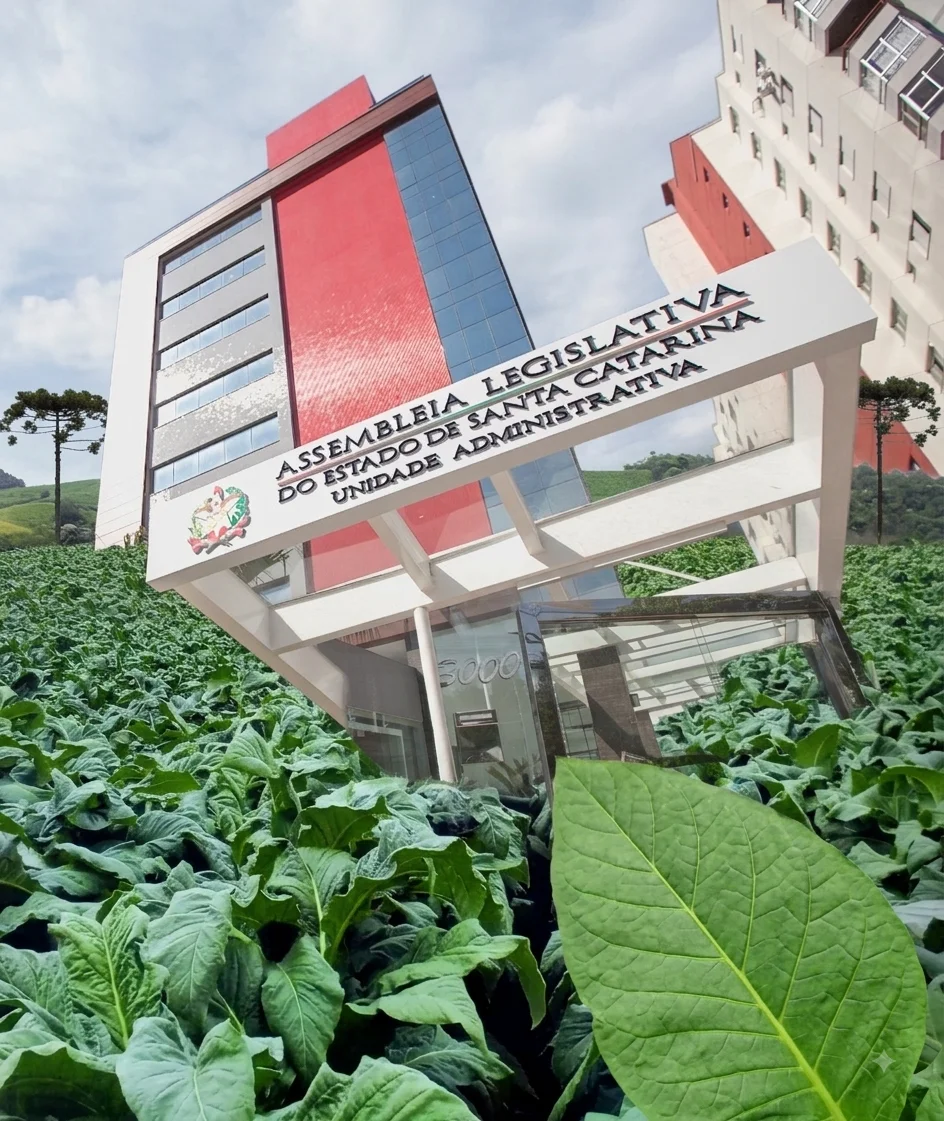 Nova lei amplia transparência na classificação e venda do tabaco em Santa Catarina
