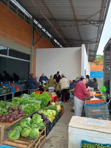 Câmbio Verde recolhe mais de 5 toneladas de recicláveis no bairro Cruzeiro