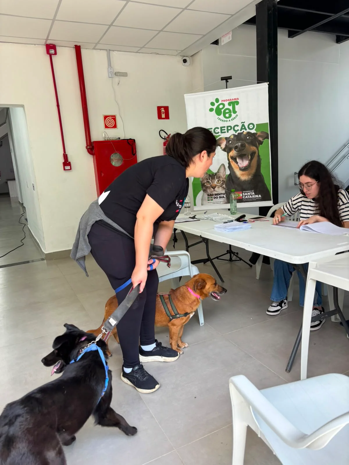 Pet Levado a Sério realiza 300 castrações gratuitas em São Bento do Sul