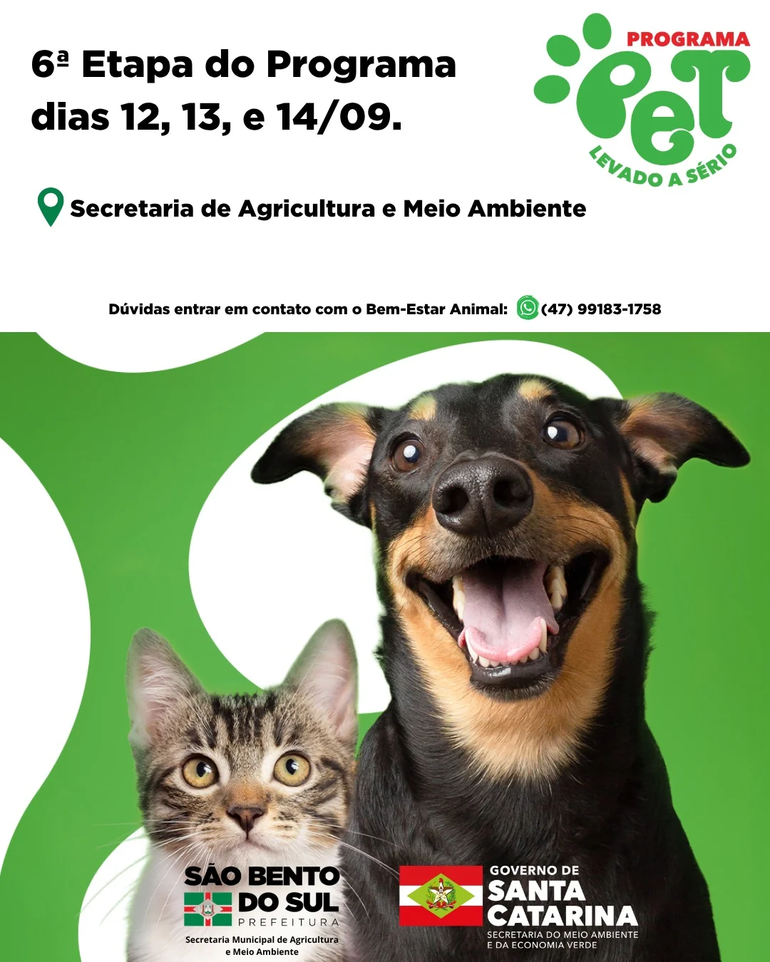 Programa Pet Levado a Sério realiza última etapa de castrações em São Bento do Sul