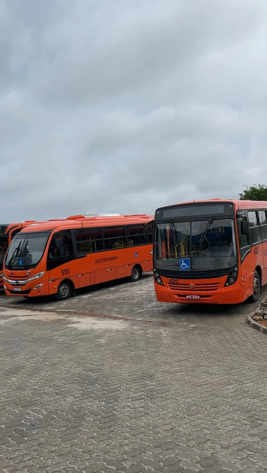 Transporte coletivo de São Bento do Sul terá novos horários a partir de 12 de setembro