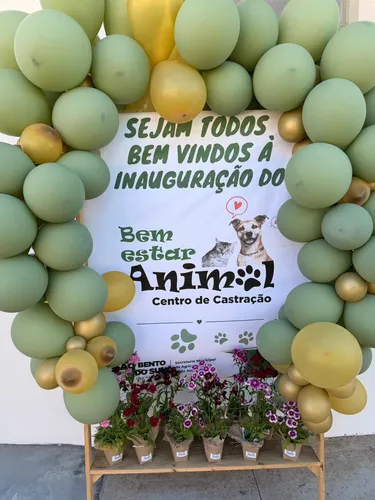 São Bento do Sul inaugura novo Centro de Castração de Cães e Gatos