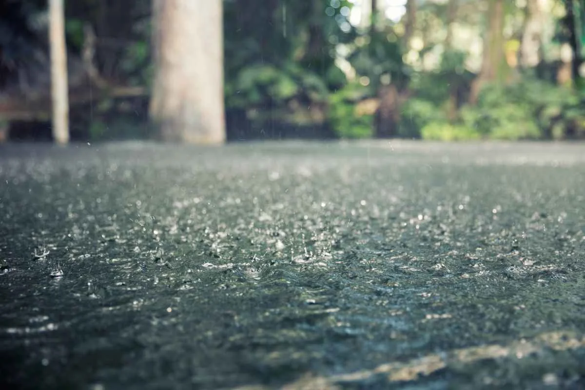 Região com alguns dos maiores acumulados de chuva de SC