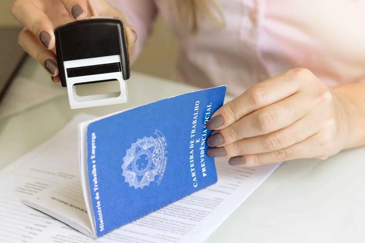 Maioria das vagas em Papanduva não exige experiência