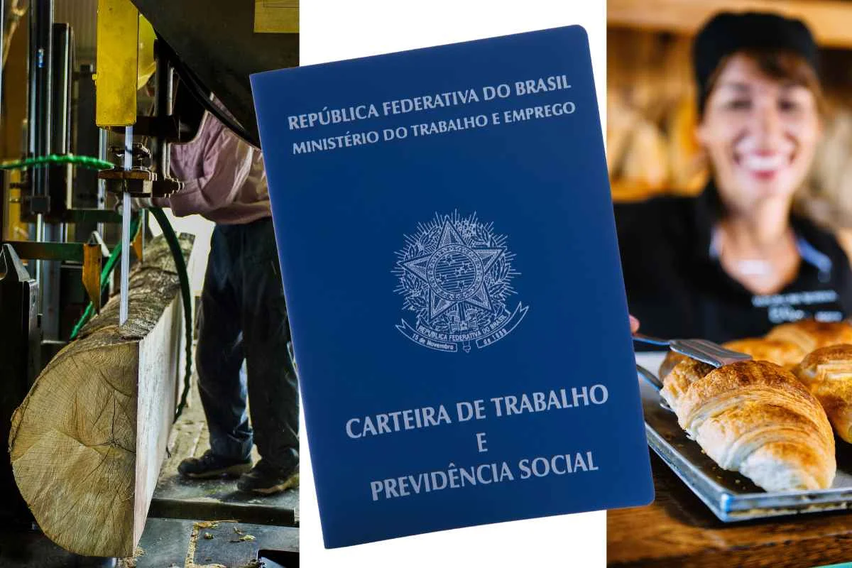 Papanduva tem 30 vagas de emprego abertas