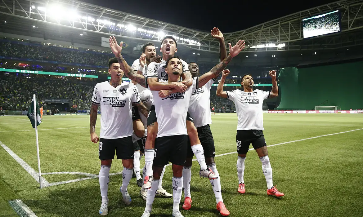 Imagem para matéria Botafogo vence Palmeiras e lidera o Brasileirão 