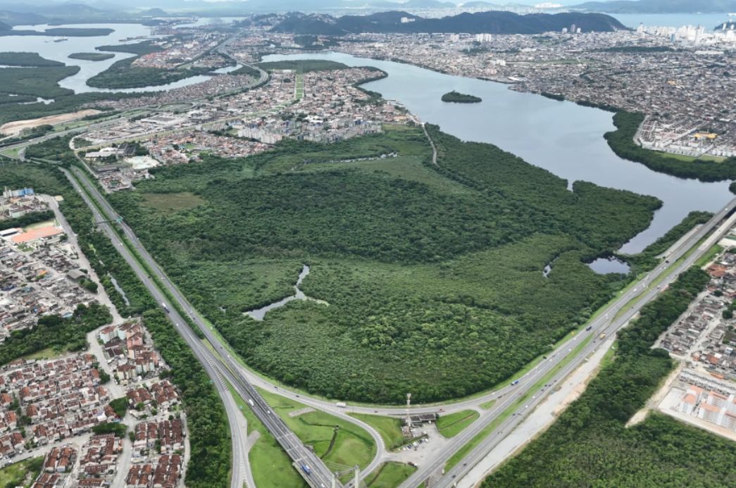 Imagem para matéria Cidades Verdes do Mundo: 34 municípios brasileiros fazem parte de seleta lista da ONU 